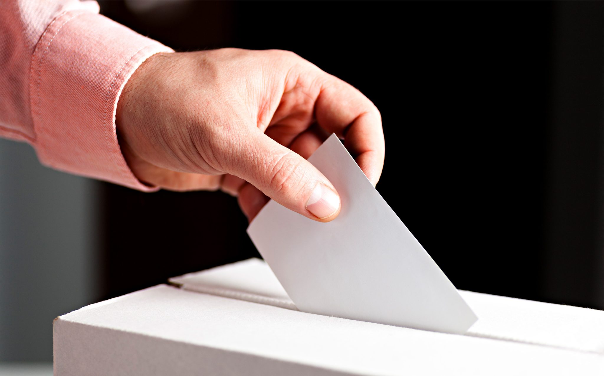 vote